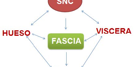 EL-ABORDAJE-FUNCIONAL-DE-TRATAMIENTO-438x300