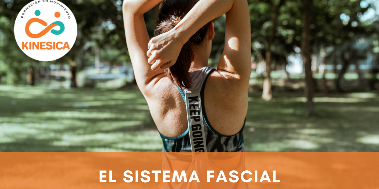 fascial