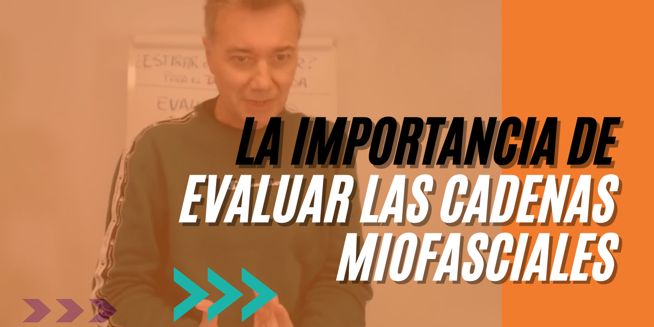 Portada Youtube Kinésica (1)