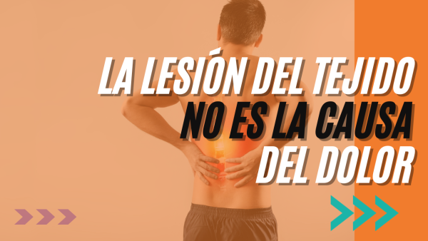 Portada Youtube Kinésica (10)