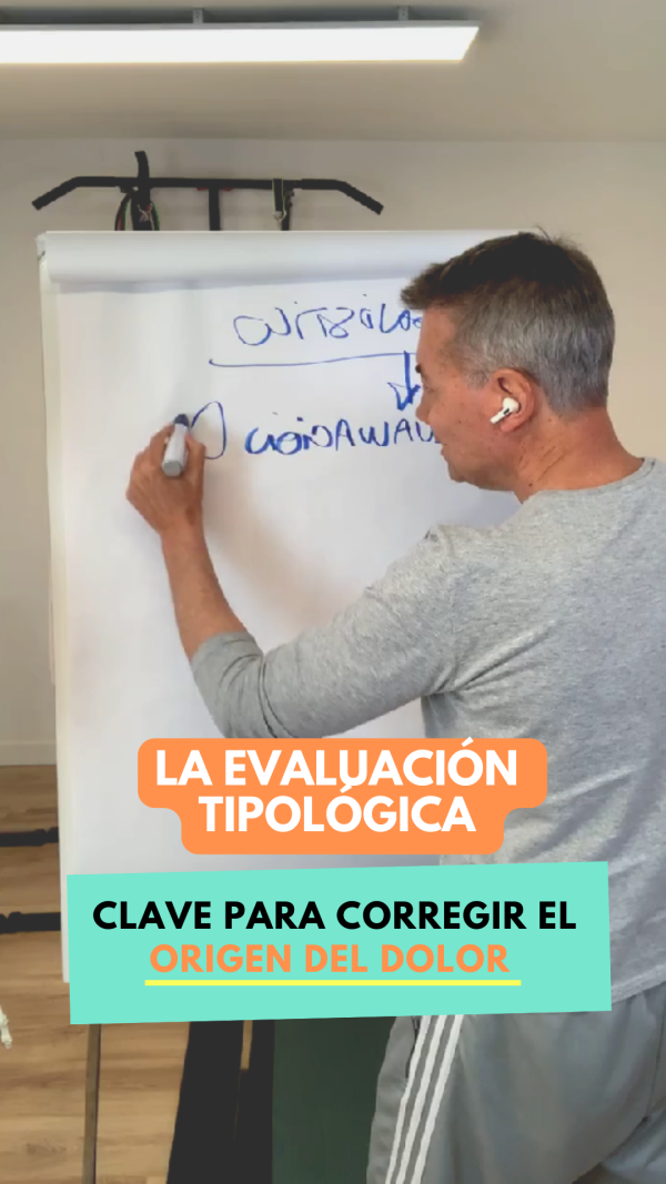 portadakinesica (14)